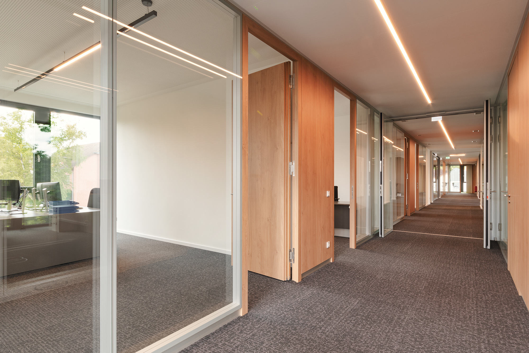 Bürokorridor Glasfront Einzelbüro Raumkonzept
